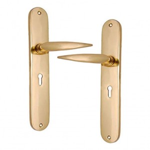 "Jehoram" Brass Door Handle with Plate 